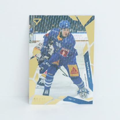 295 - EVZ - ROBIN NICO ANTENEN - BASE GOLD - 06/10