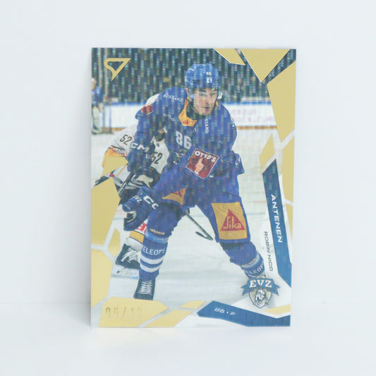 295 - EVZ - ROBIN NICO ANTENEN - BASE GOLD - 06/10