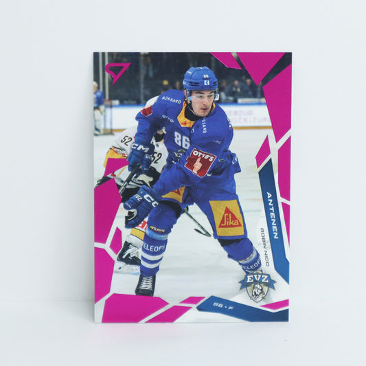 295 - EVZ - ROBIN NICO ANTENEN - BASE PINK