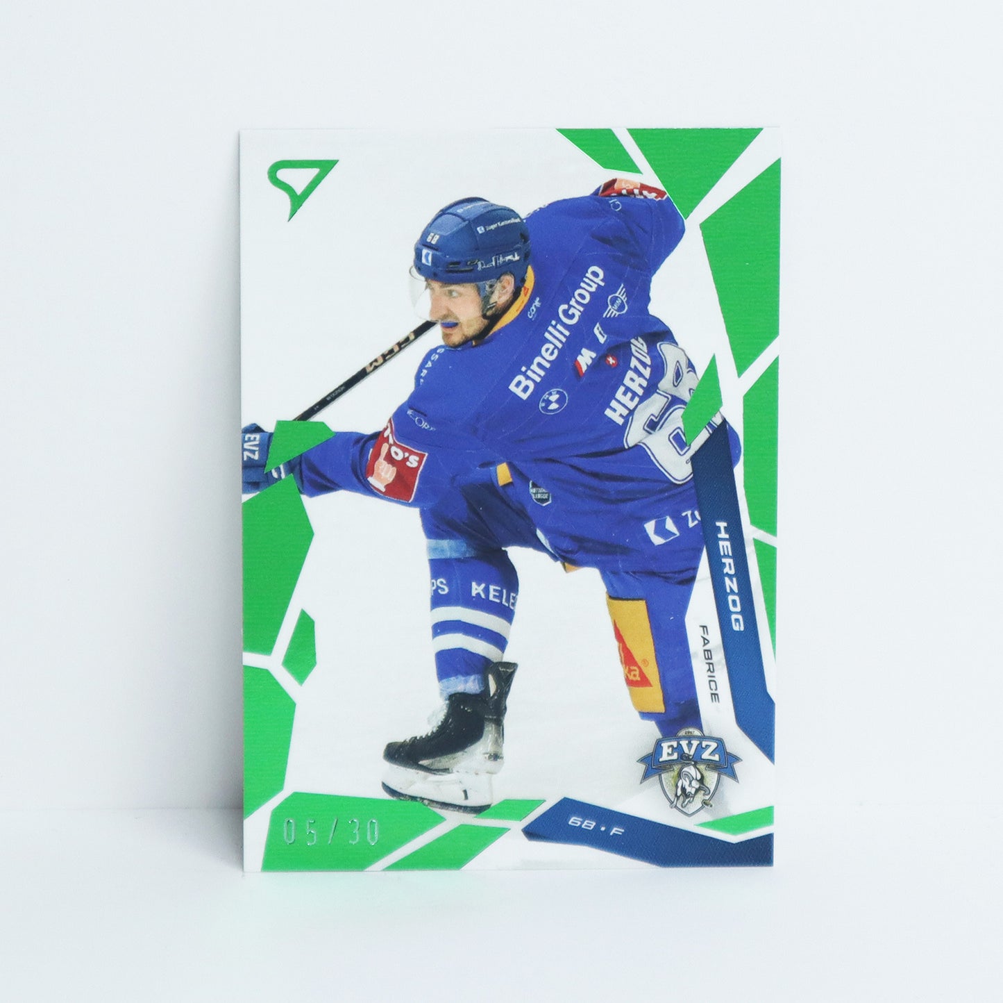 296 - EVZ - FABRICE HERZOG - BASE GREEN - 05/30