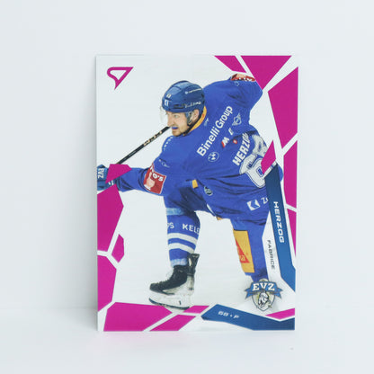 296 - EVZ - FABRICE HERZOG - BASE PINK
