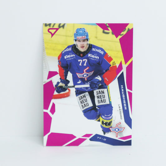 301 - EHCK - LEANDRO HAUSHEER - BASE PINK