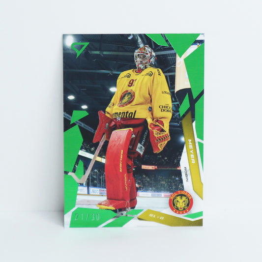 307 - SCL - ROBIN MEYER - BASE GREEN - 21/30