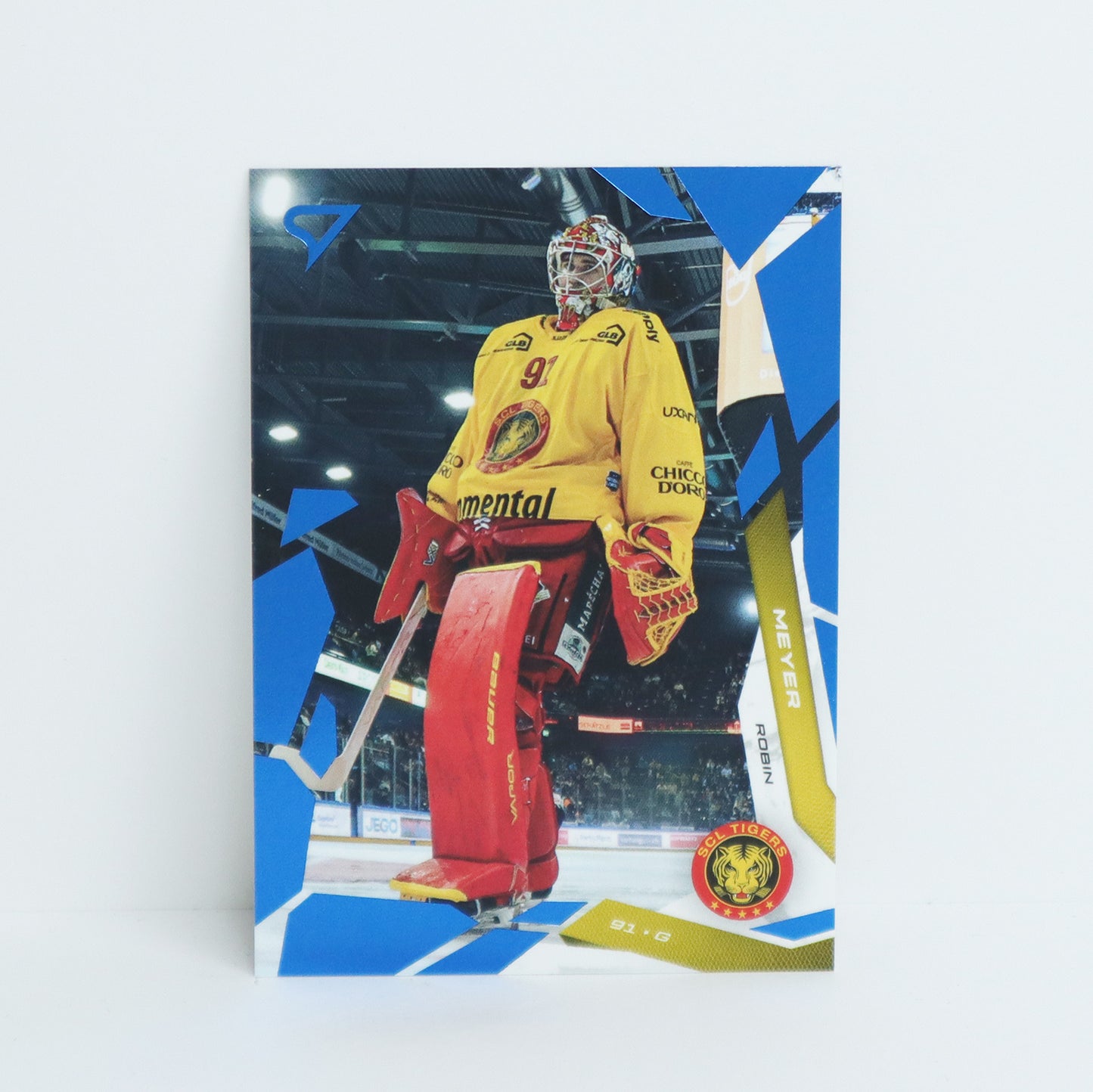 307 - SCL - ROBIN MEYER - BASE BLUE