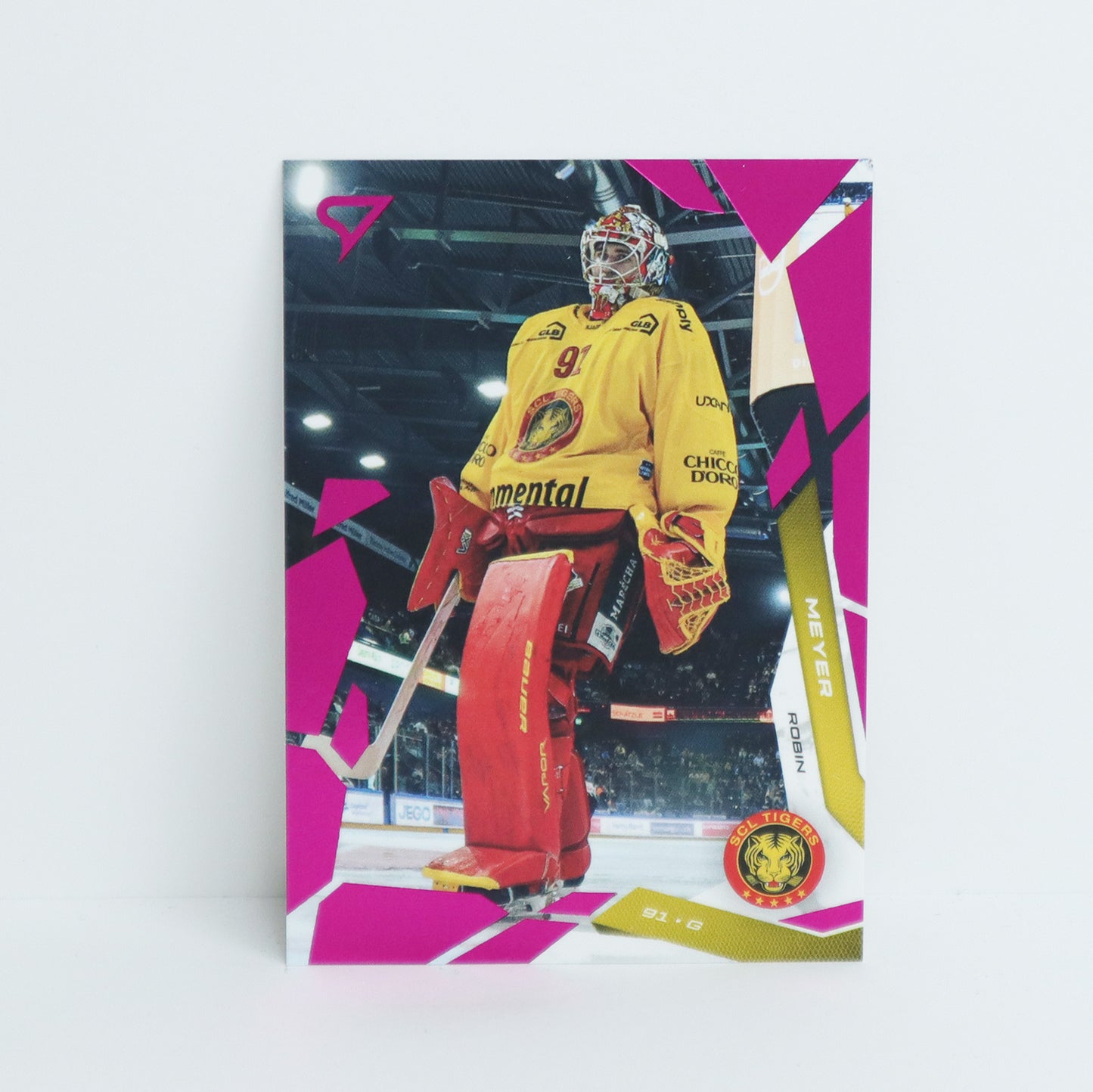 307 - SCL - ROBIN MEYER - BASE PINK