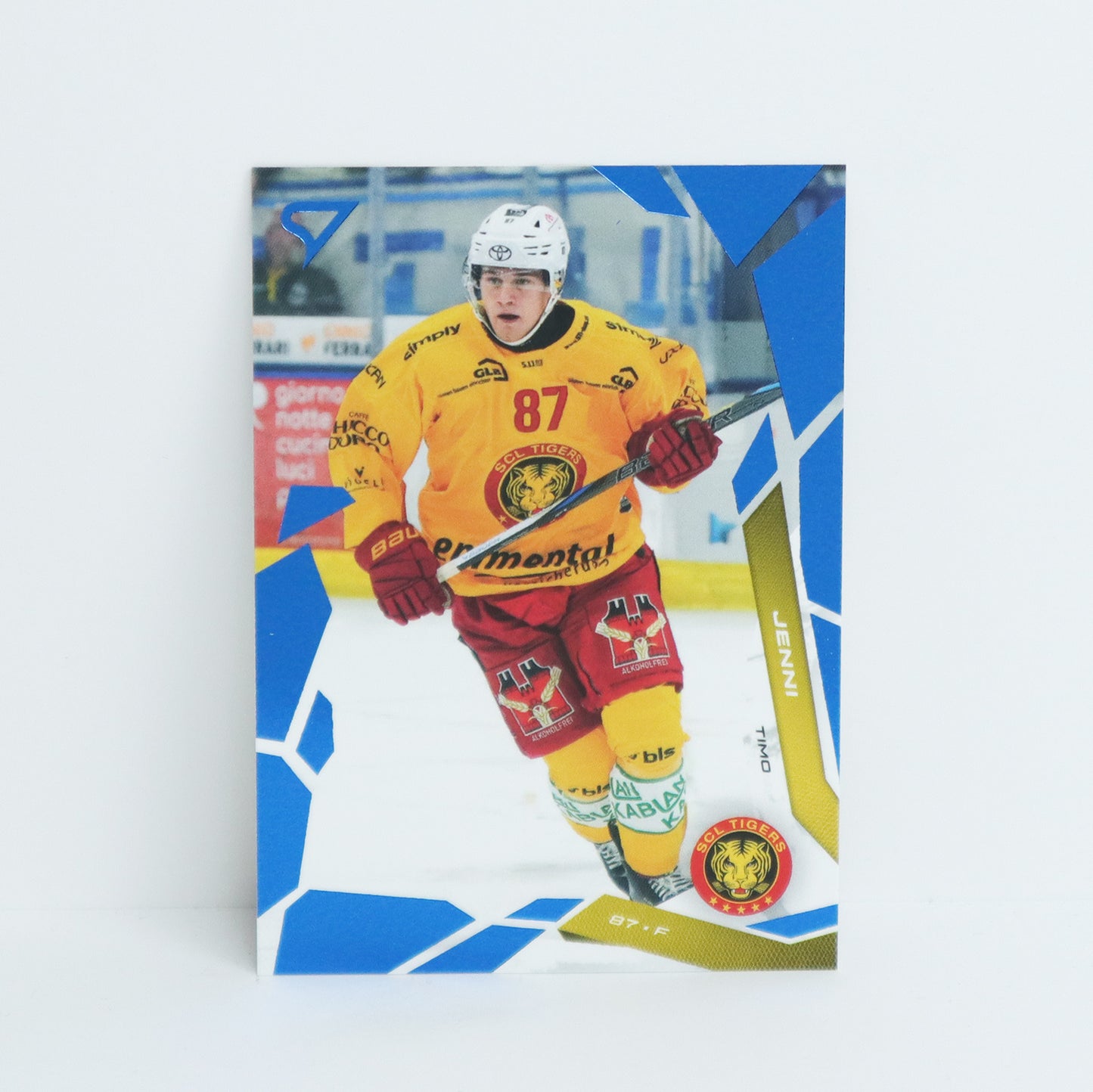 311 - SCL - TIMO JENNI - BASE BLUE