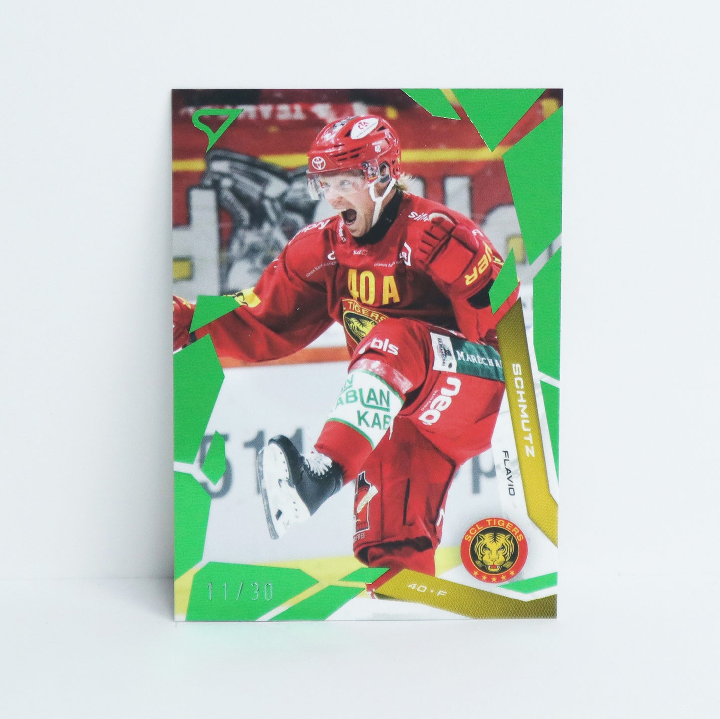 313 - SCL - FLAVIO SCHMUTZ - BASE GREEN - 11/30