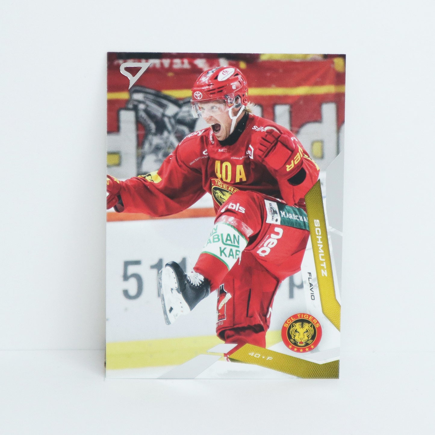 313 - SCL - FLAVIO SCHMUTZ - BASE SET