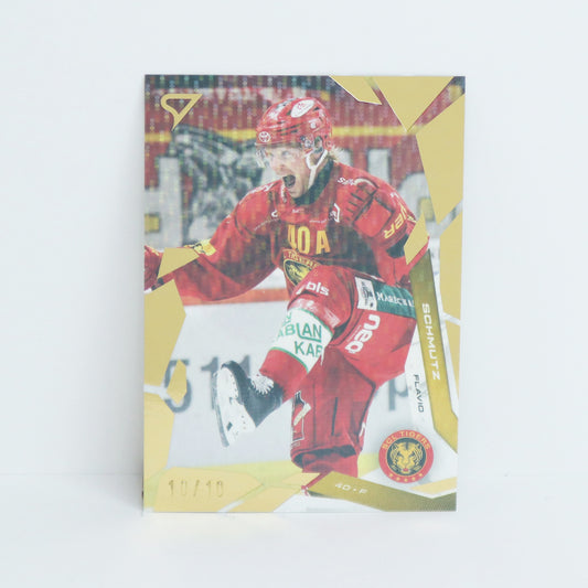 313 - SCL - FLAVIO SCHMUTZ - BASE GOLD - 10/10