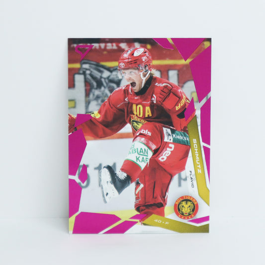 313 - SCL - FLAVIO SCHMUTZ - BASE PINK