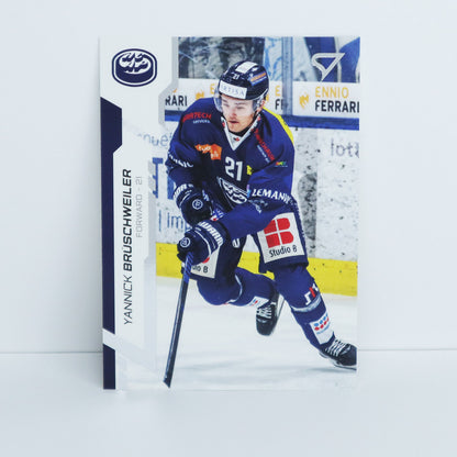 315 - HCAP - Y. BR. SCHWEILER - BASE SET