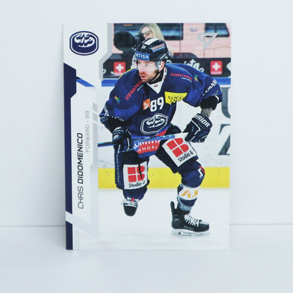 316 - HCAP - CH. DIDOMENICO - BASE SET