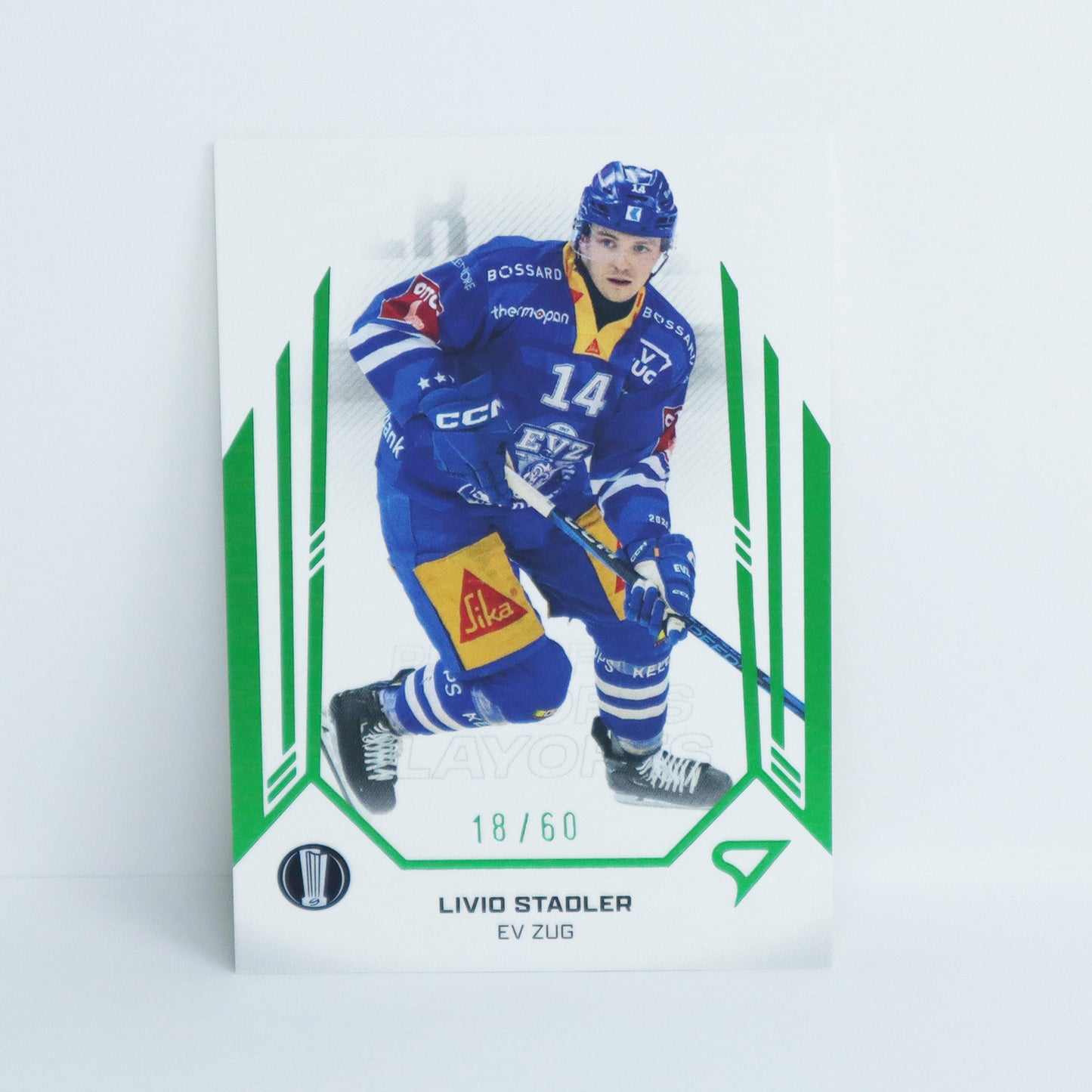 31 - EVZ - LIVIO STADLER - BASE GREEN - 18/60