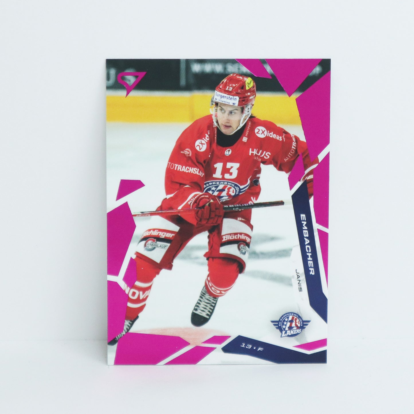 324 - SCRJ - JANIS EMBACHER - BASE PINK