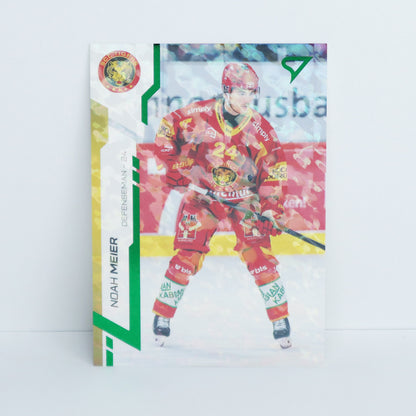 329 - SCL - NOAH MEIER - BASE GREEN