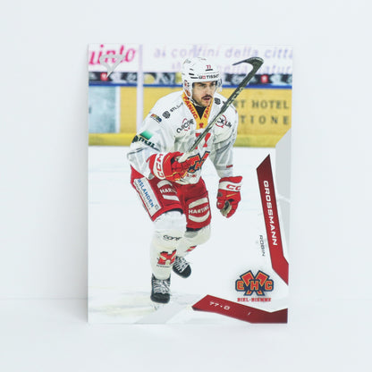 331 - EHCB - ROBIN GROSSMANN - BASE SET