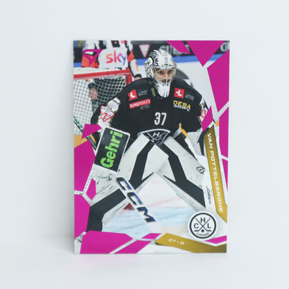 343 - HCL - JOREN VAN POTTELBERGHE - BASE PINK