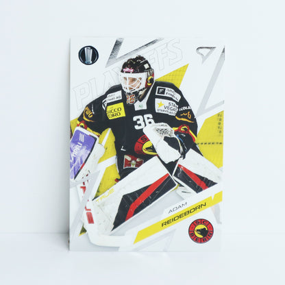 37 - SCB - ADAM REIDEBORN - BASE SET