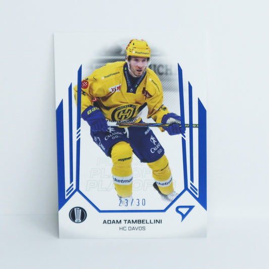 53 - HCD - ADAM TAMBELLINI - BASE BLUE - 23/30
