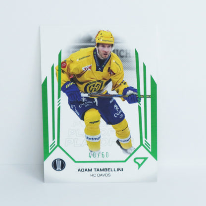 53 - HCD - ADAM TAMBELLINI - BASE GREEN - 40/60