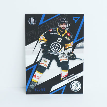 89 - HCL - GIOVANNI MORINI - BASE BLUE - 36/60