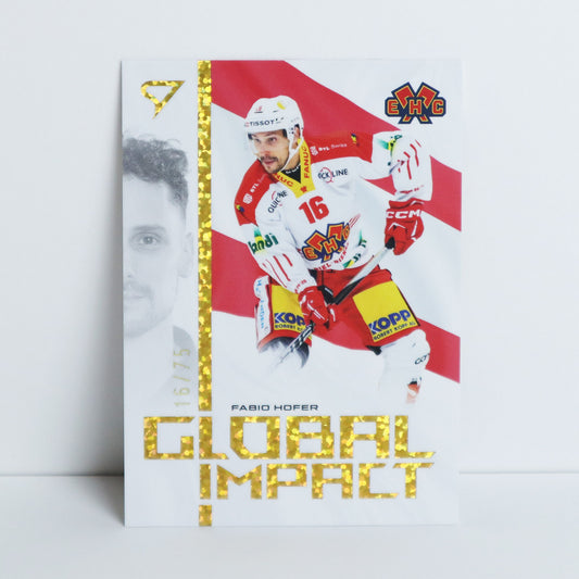 GI-16 - EHCB - FABIO HOFER - GLOBAL IMPACT GOLDEN GLITTER - 16/75