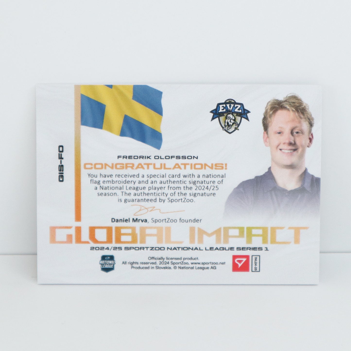 GIS-FO - EVZ - FREDRIK OLOFSSON - GLOBAL IMPACT AUTO FLAG - 02/30