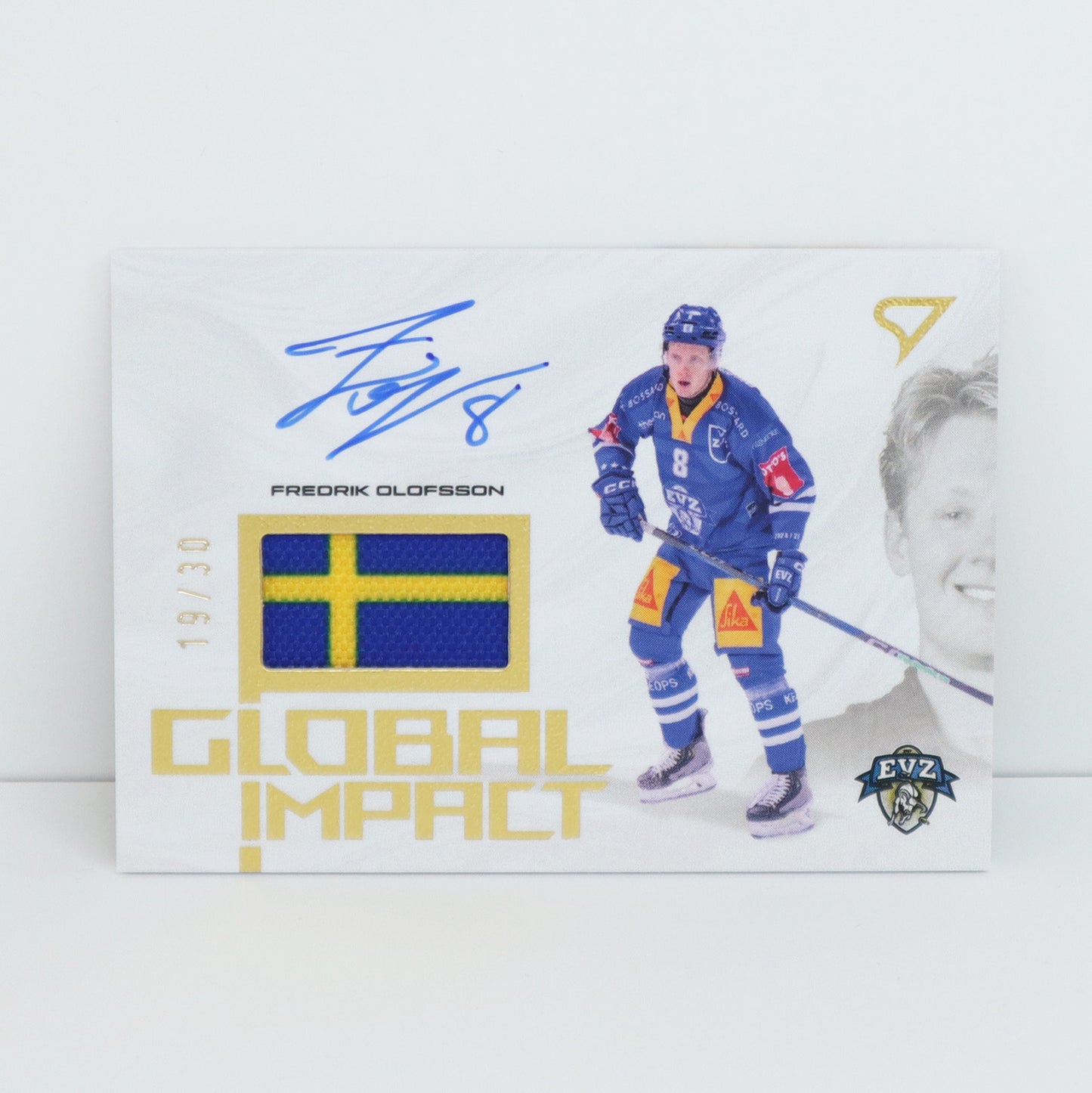 GIS-FO - EVZ - FREDRIK OLOFSSON - GLOBAL IMPACT AUTO FLAG - 19/30