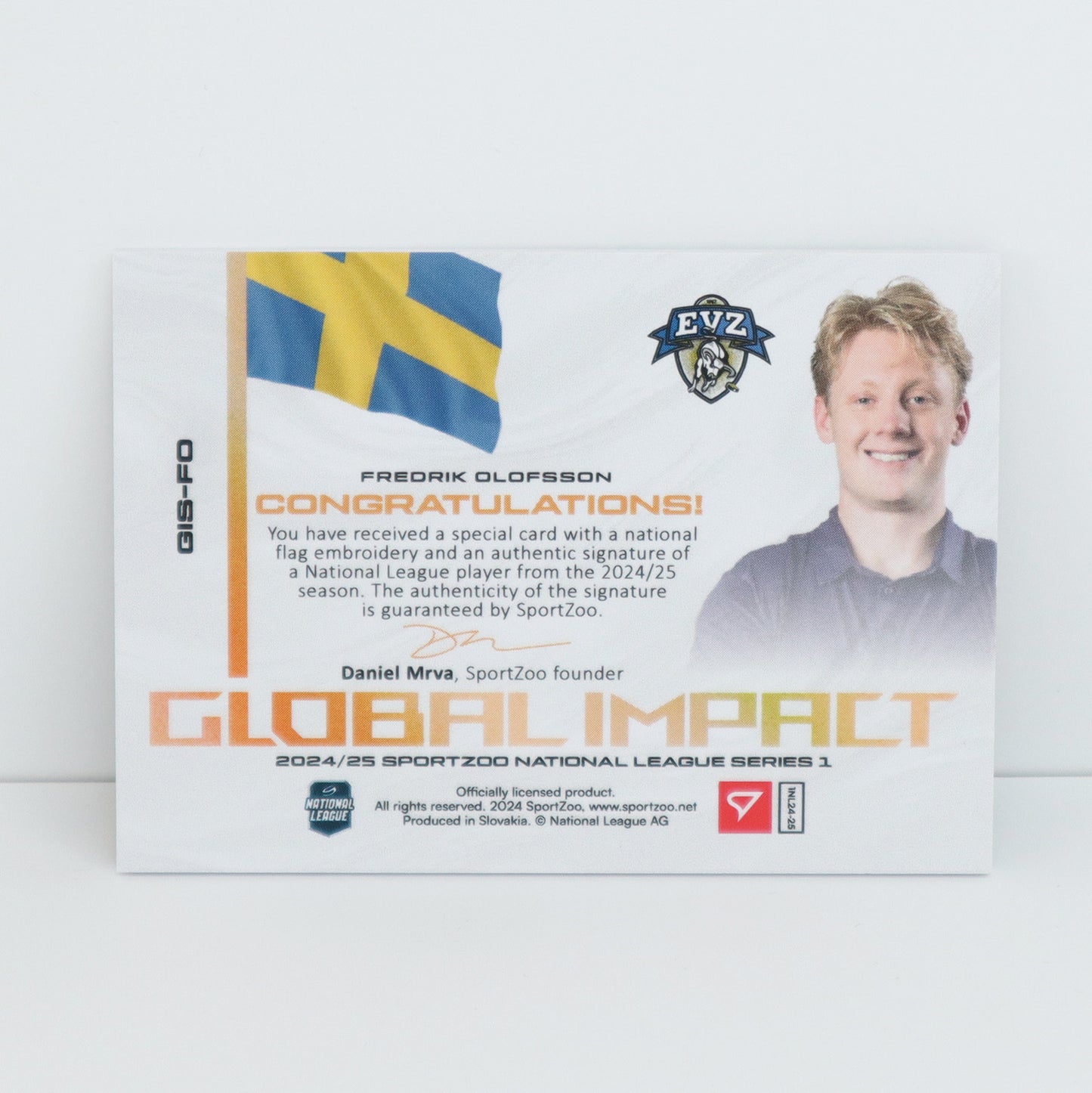 GIS-FO - EVZ - FREDRIK OLOFSSON - GLOBAL IMPACT AUTO FLAG - 19/30