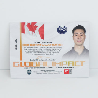 GIS-JA - HCAP - JONATHAN ANG - GLOBAL IMPACT AUTO FLAG - 01/30