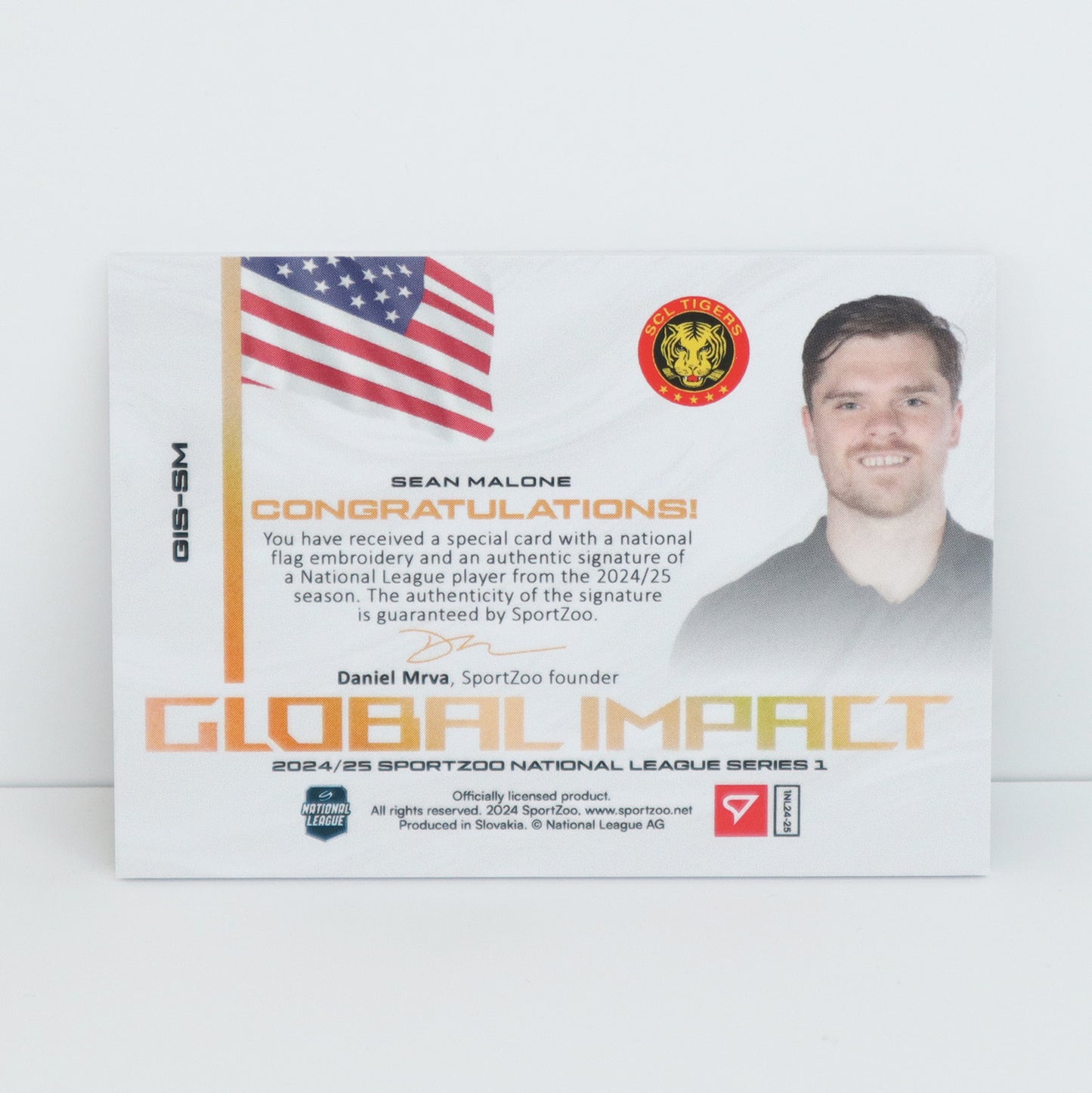 GIS-SM - SCL - SEAN MALONE - GLOBAL IMPACT AUTO FLAG - 07/30