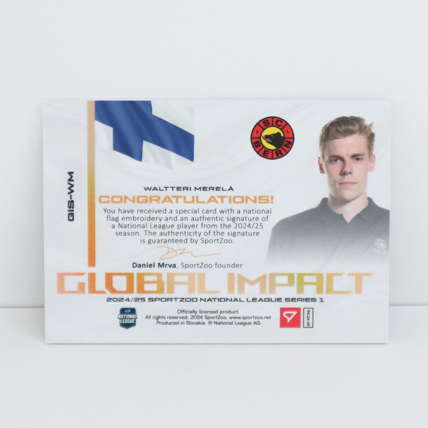 GIS-WM - SCB - WALTTERI MERELA - GLOBAL IMPACT AUTO FLAG - 21/30