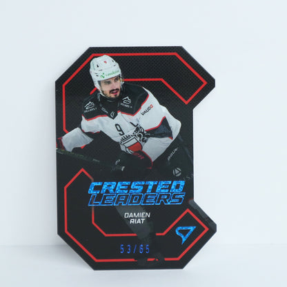 CL-04 - LHC - DAMIEN RIAT - CRESTED LEADERS BLUE - 53/65