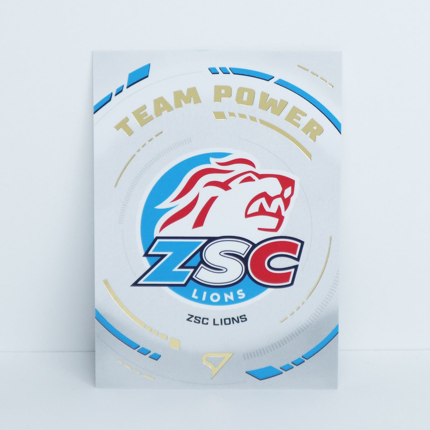 TP-02 - ZSC - LOGO - TEAM POWER BASE