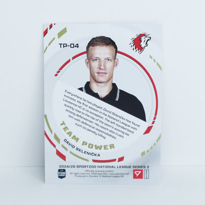 TP-04 - LHC - DAVID SKLENICKA - TEAM POWER BASE