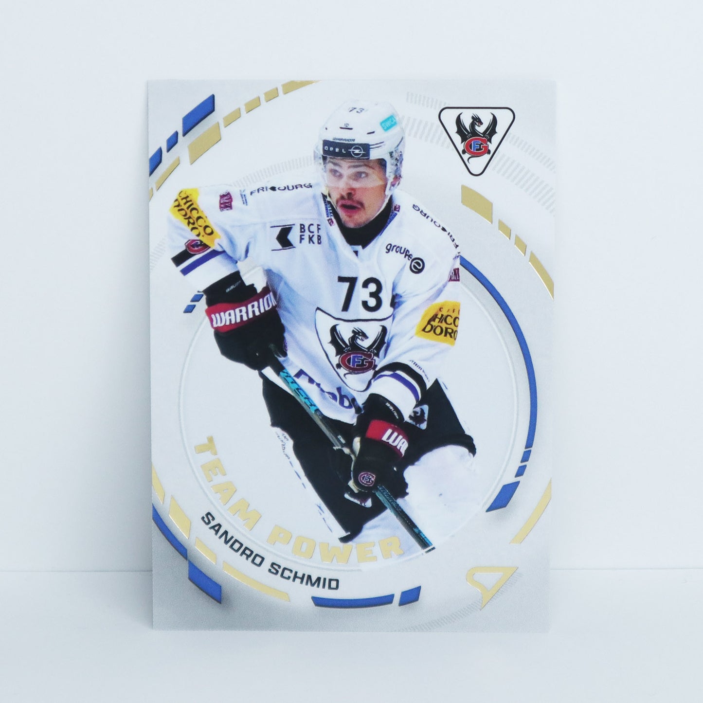 TP-09 - FRI - SANDRO SCHMID - TEAM POWER BASE