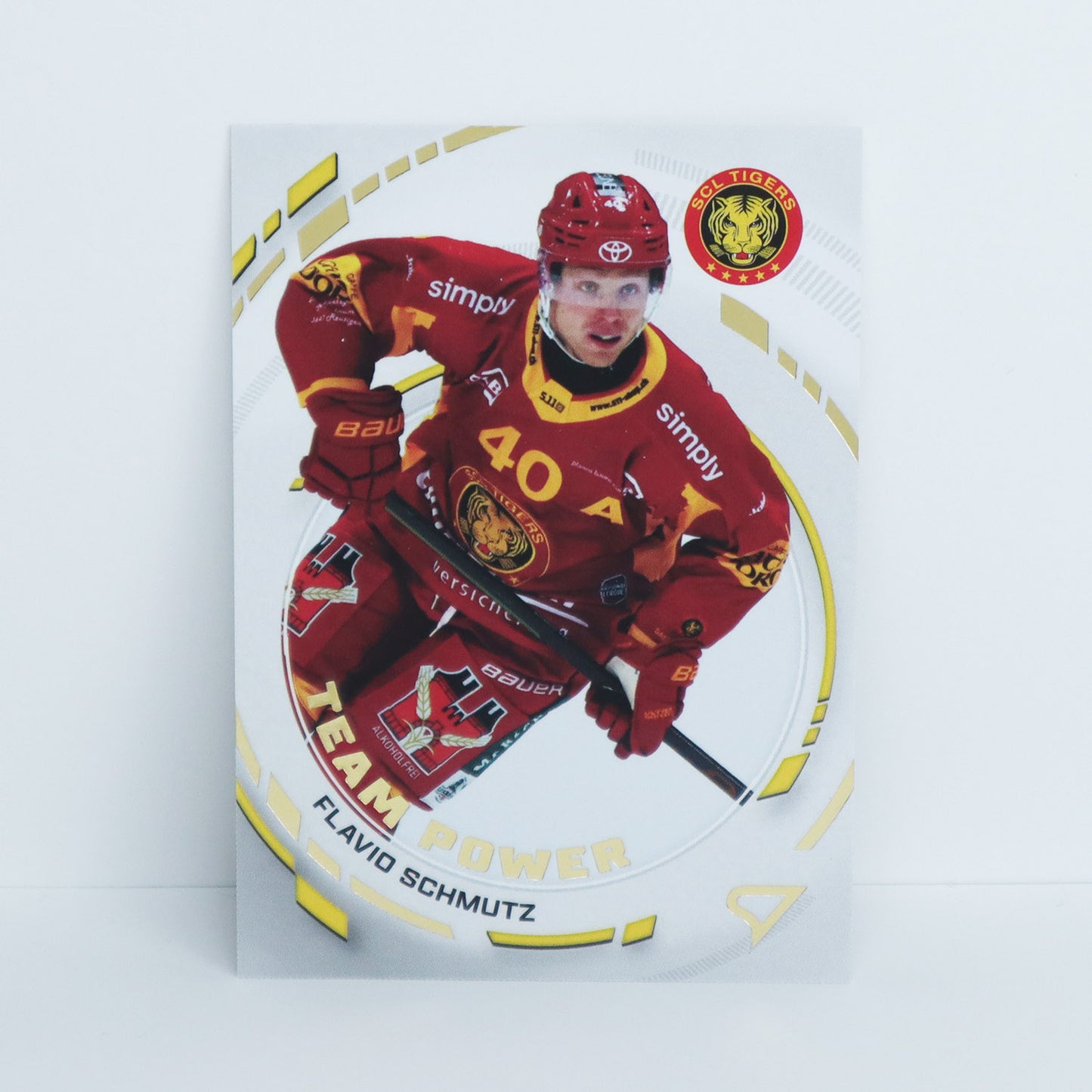 TP-33 - SCL - FLAVIO SCHMUTZ - TEAM POWER BASE