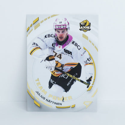 TP-42 - HCA - JULIUS NATTINEN - TEAM POWER BASE