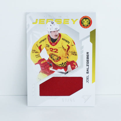 GJ-SL - SCL - JOEL SALZGEBER - GAME JERSEY SILVER - 51/65