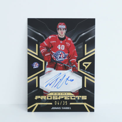 PPS-JT - SCRJ - JONAS TAIBEL - PRIME PROSPECTS GOLD AUTO - 04/35
