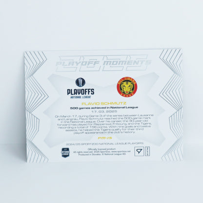 PM-15 - SCL - FLAVIO SCHMUTZ - BASE