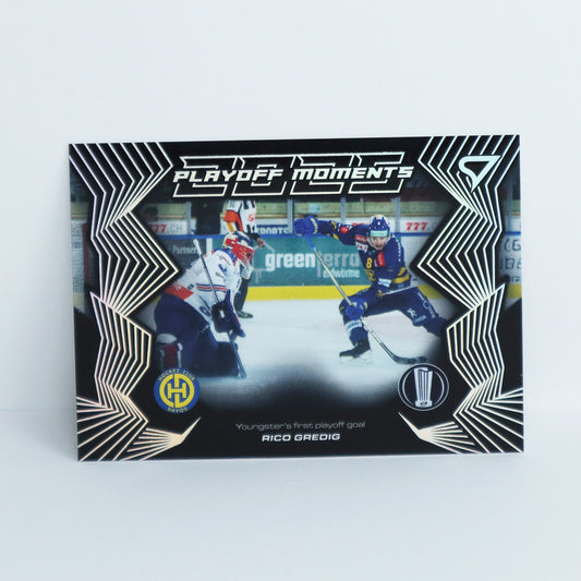 PM-29 - HCD - RICO GREDIG - BASE