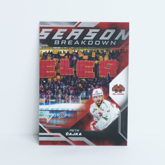 SB-33 - EHCB - PETR CAJKA - SEASON BREAKDOWN