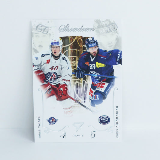 SH-02 - SCRJ - JONAS TAIBEL VS. CHRIS DIDOMENICO - HCAP - BASE