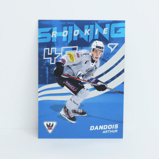 SR-05 - FRI - ARTHUR DANDOIS - SHINING ROOKIES BASE
