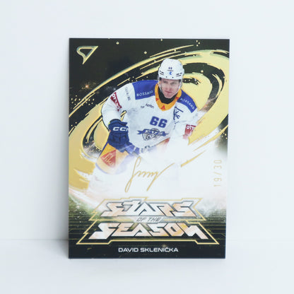 SS-17 - EVZ - DAVID SKLENICKA - STARS OF THE SEASON GOLD - 19/30