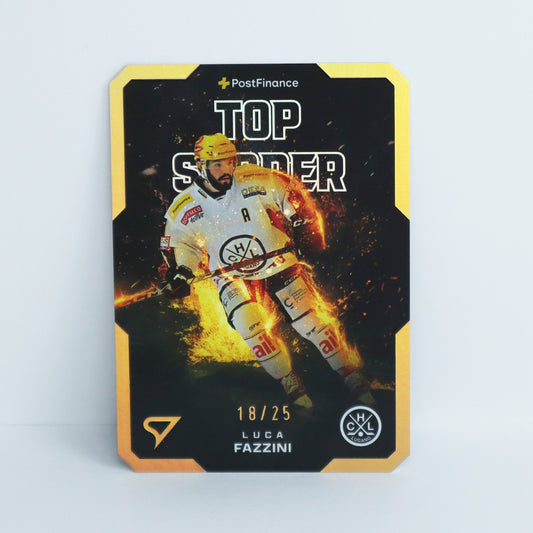 TS-07 - HCL - LUCA FAZZINI - GOLDEN FRAME - 18/25