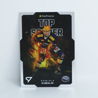 TS-09 - HCAP - DOMINIK KUBALIK - BASE