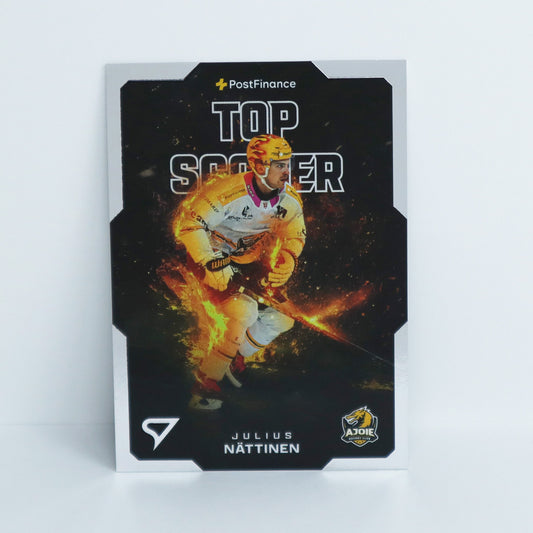 TS-14 - HCA - JULIUS NATTINEN - BASE