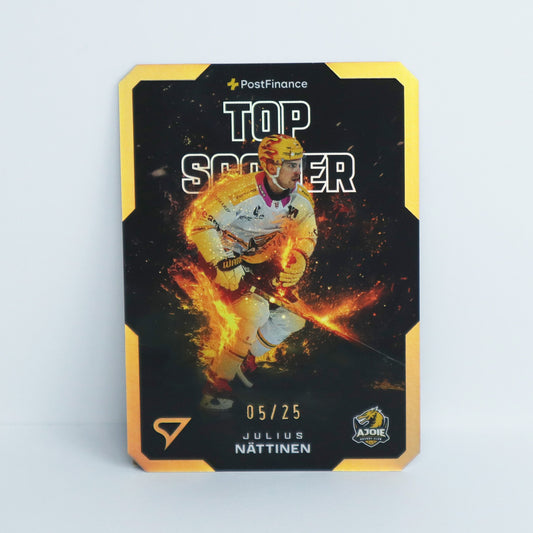 TS-14 - HCA - JULIUS NATTINEN - GOLDEN FRAME - 05/25